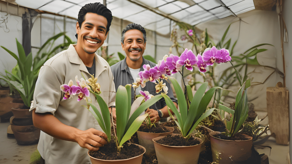Guía Completa para Cultivar Orquídeas con Éxito - Agroideas Online