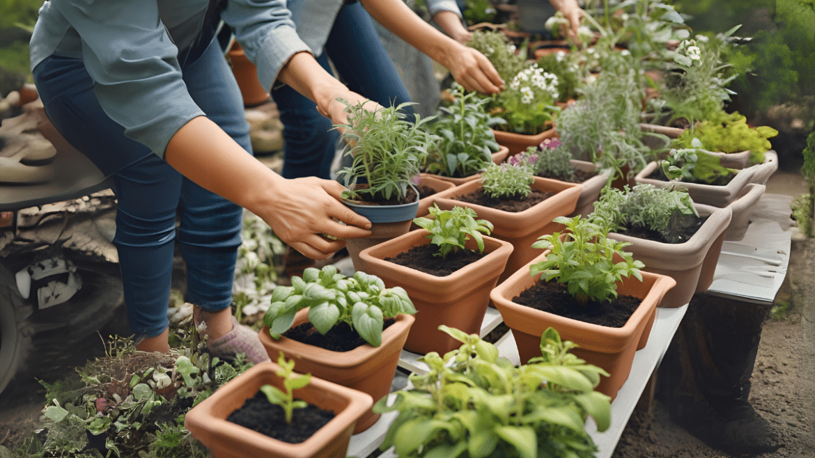 Guía Completa sobre Plantas Medicinales Cultiva y Aprovecha sus Beneficios - Agroideas Online