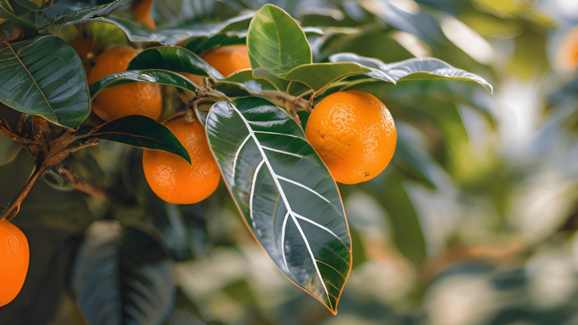 Guía Completa para el Manejo del Minador de los Cítricos - Agroideas Online