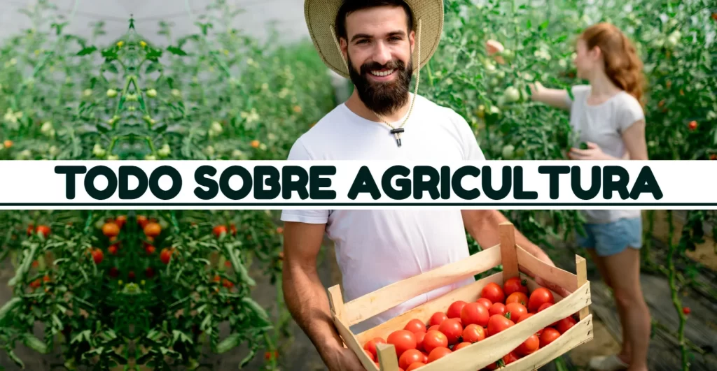 TODO SOBRE AGRICULTURA – Agroideas Online