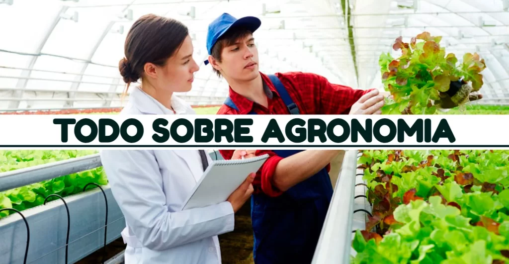 TODO SOBRE AGRONOMIA – Agroideas Online