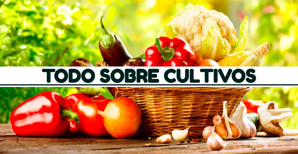 TODO SOBRE CULTIVOS – Agroideas Online
